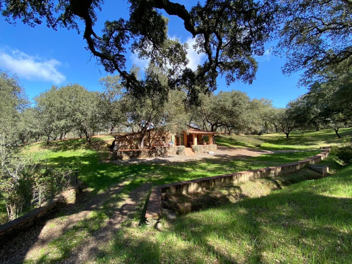 Valle Del Arroyo Casas Rurales - B&B - Solo Adultos Cortelazor 외부 사진